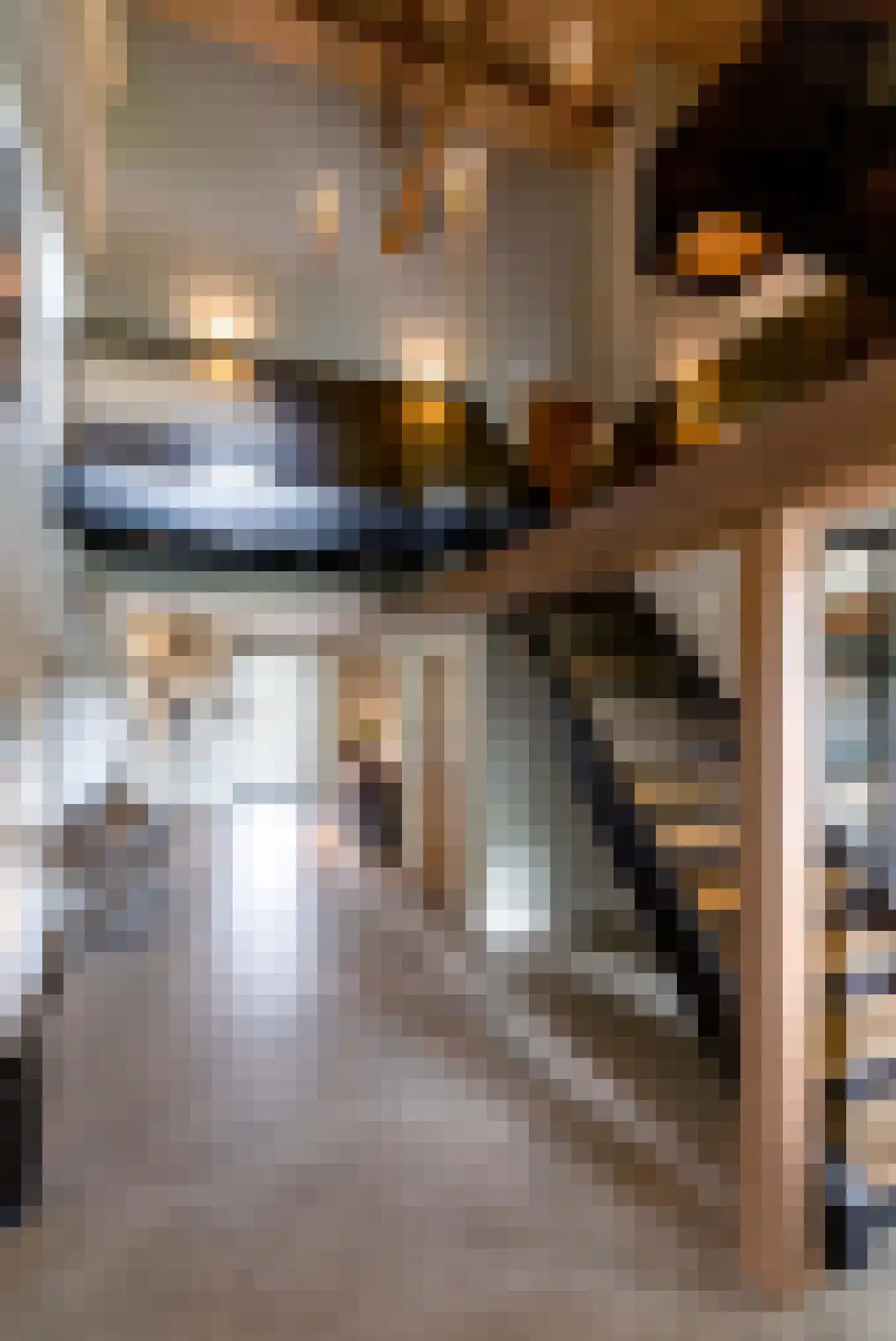 Vliertwijksestraat 50 Rosmalen thumbnail 26