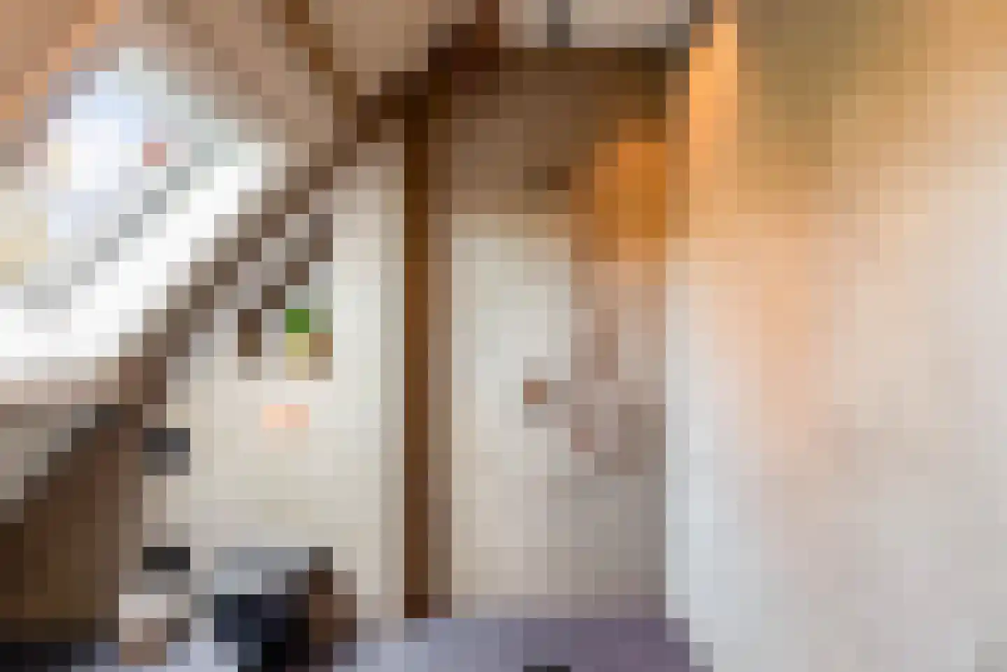 Vliertwijksestraat 50 Rosmalen thumbnail 31