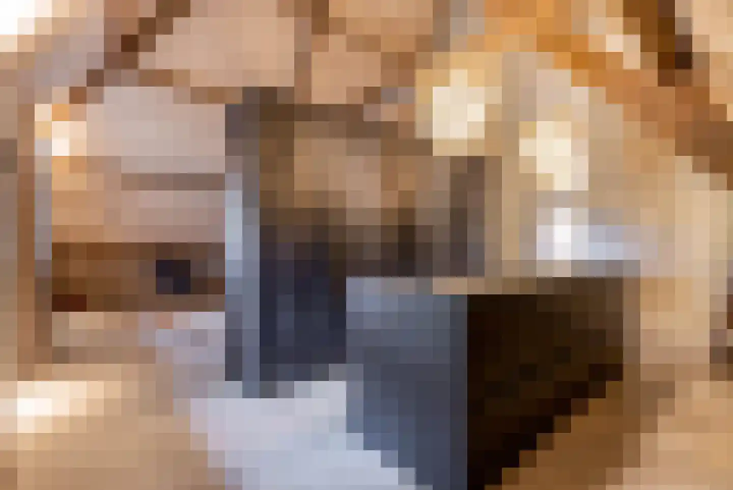 Vliertwijksestraat 50 Rosmalen thumbnail 32