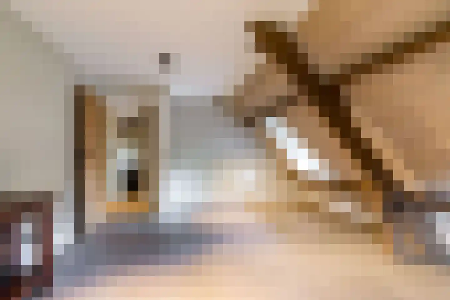 Vliertwijksestraat 50 Rosmalen thumbnail 36