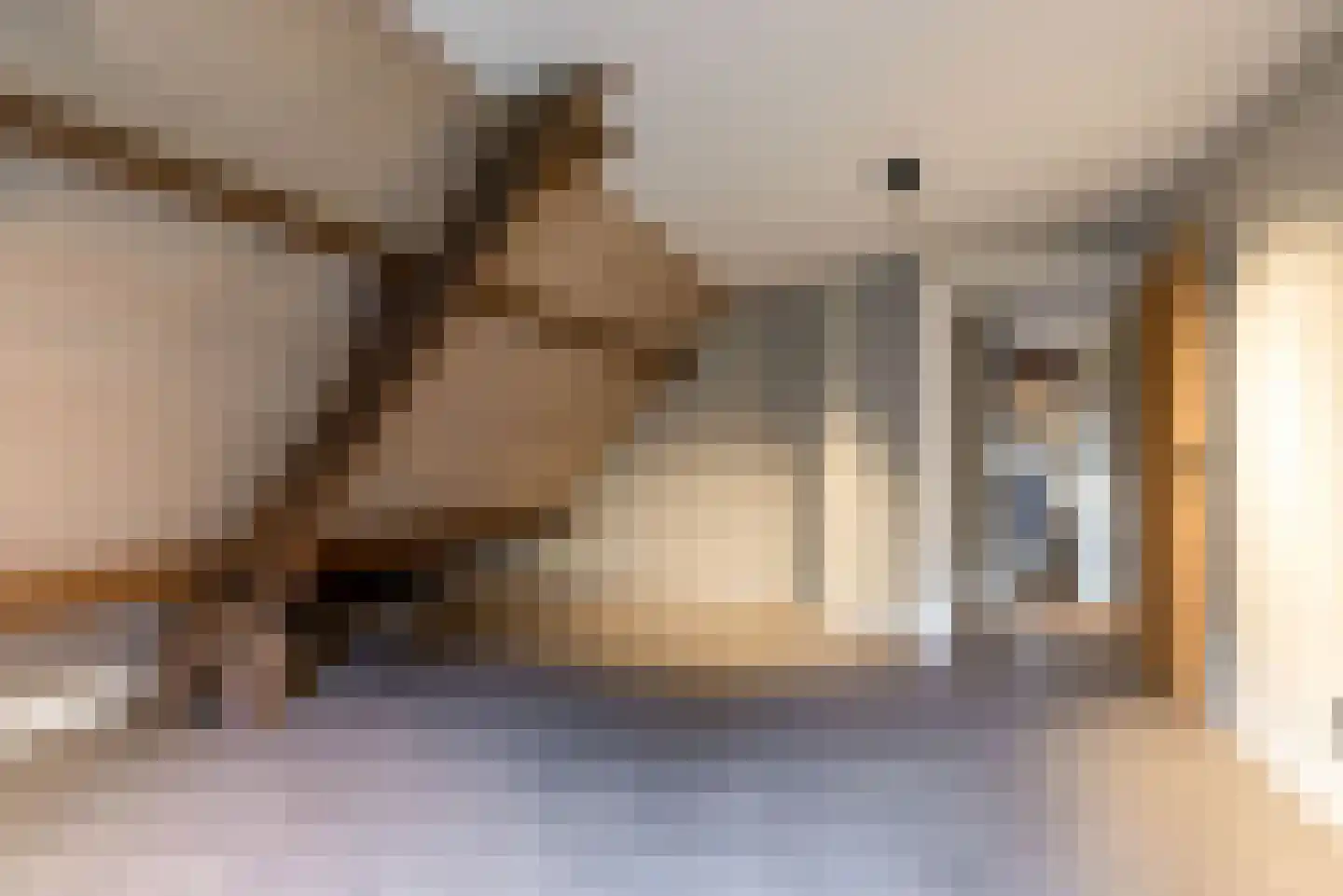 Vliertwijksestraat 50 Rosmalen thumbnail 40