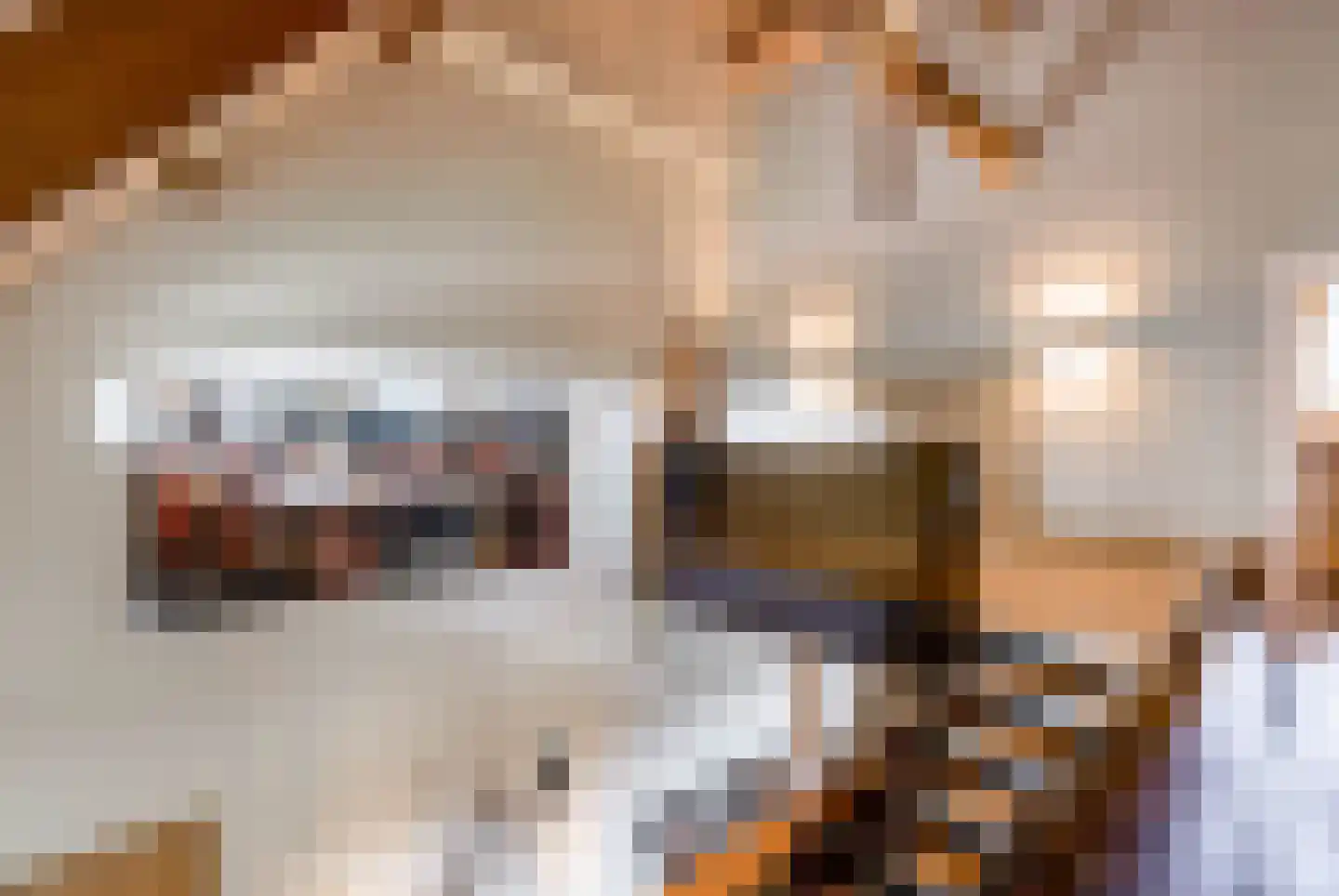 Vliertwijksestraat 50 Rosmalen thumbnail 42