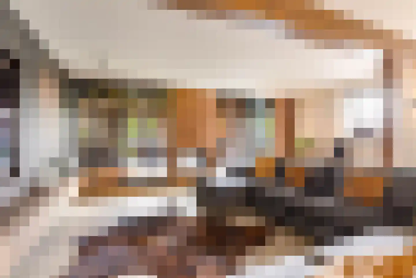 Vliertwijksestraat 50 Rosmalen thumbnail 6