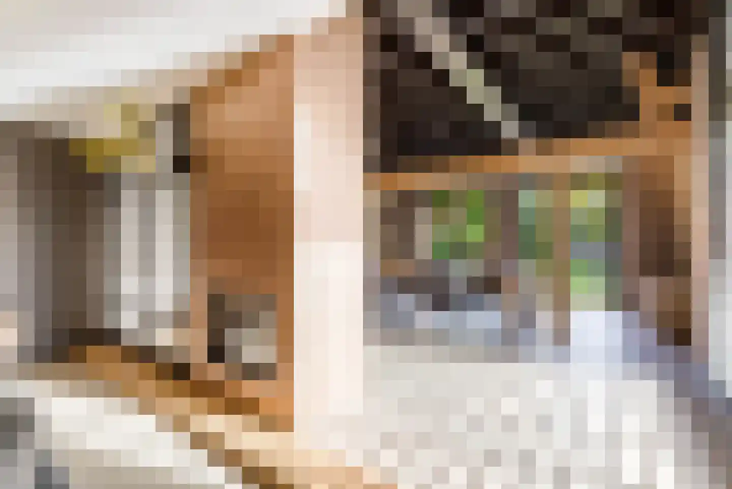 Vliertwijksestraat 50 Rosmalen thumbnail 9