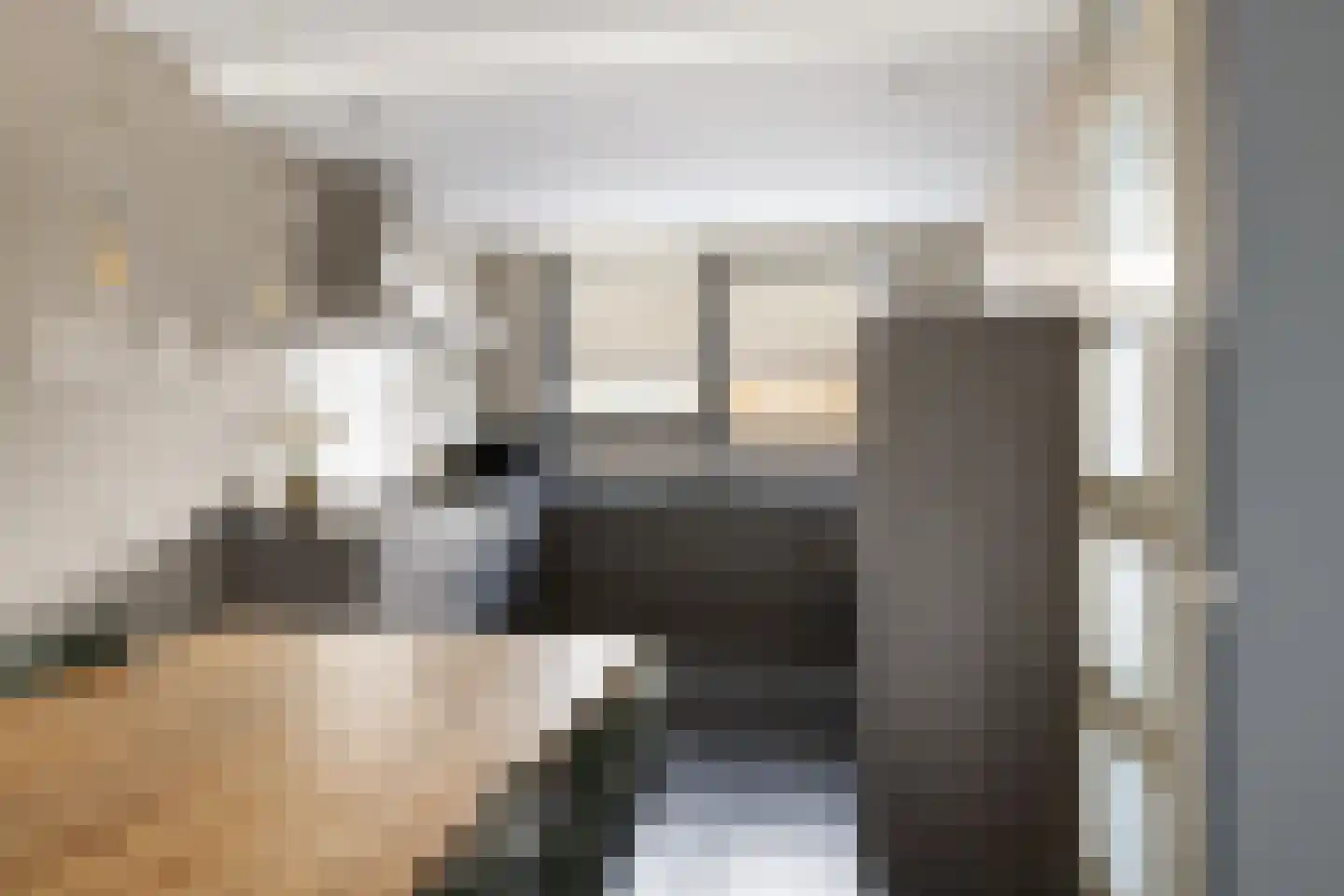 Vliervlinder 6 Diemen thumbnail 10