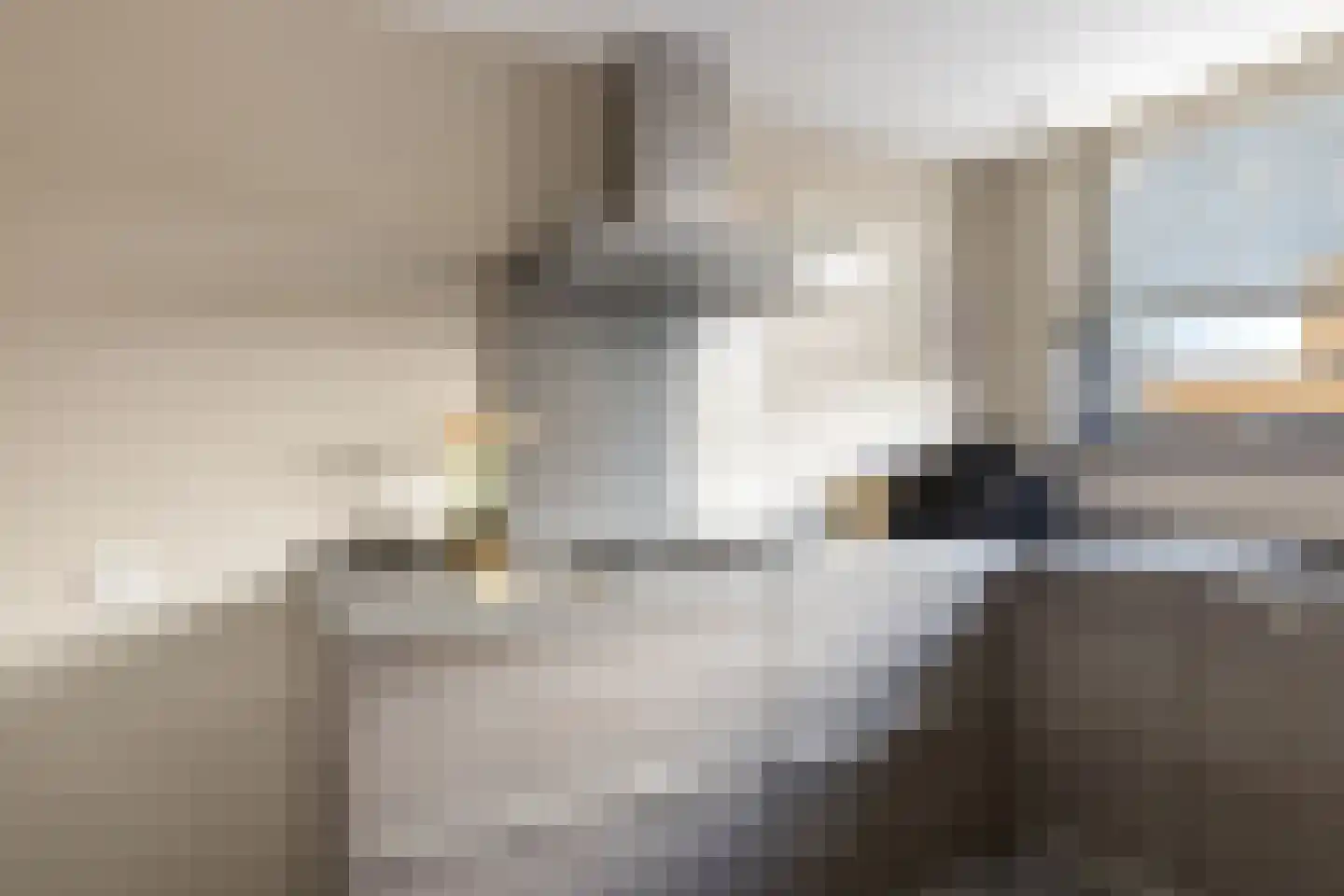 Vliervlinder 6 Diemen thumbnail 11