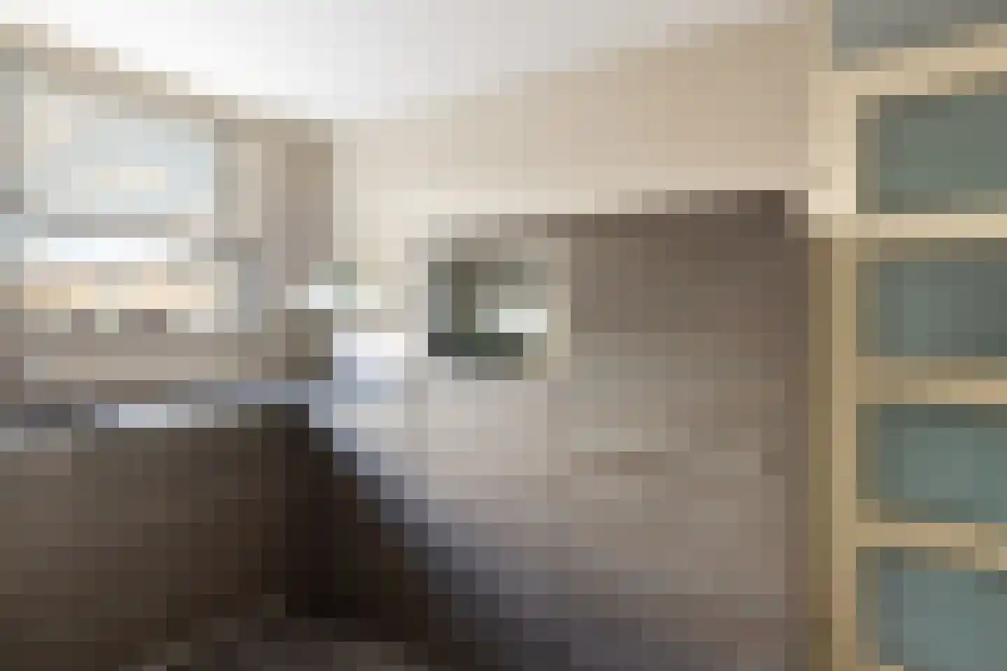 Vliervlinder 6 Diemen thumbnail 12