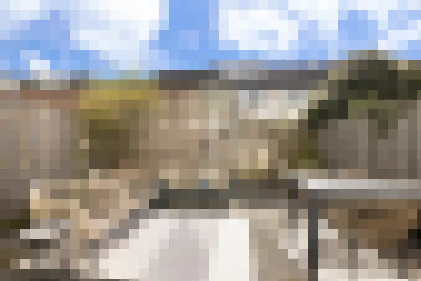 Vliervlinder 6 Diemen thumbnail 14