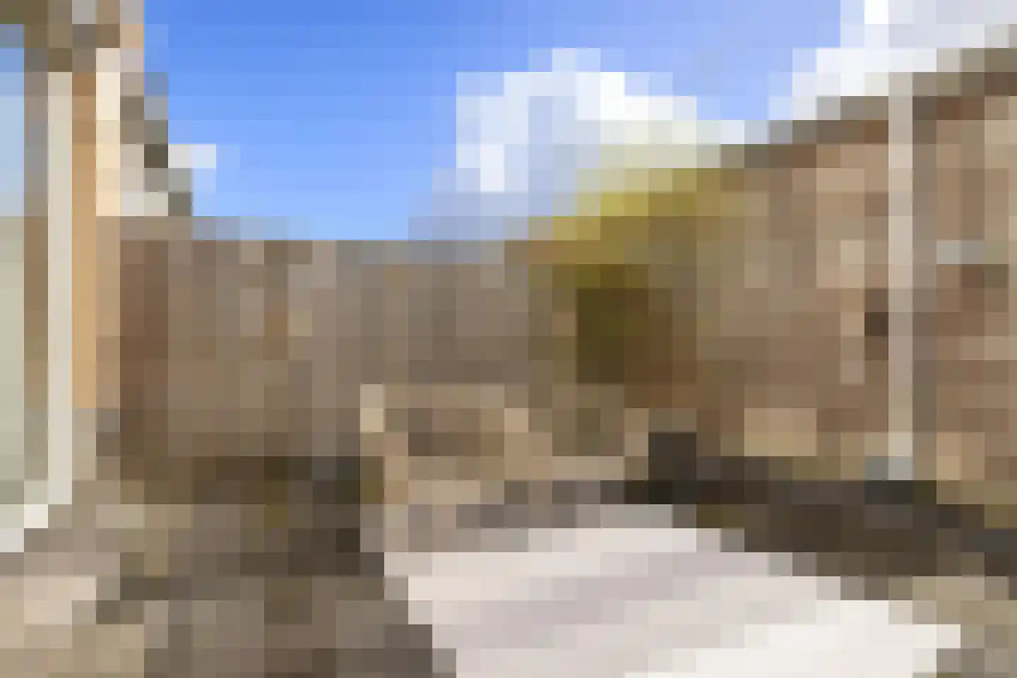 Vliervlinder 6 Diemen thumbnail 15