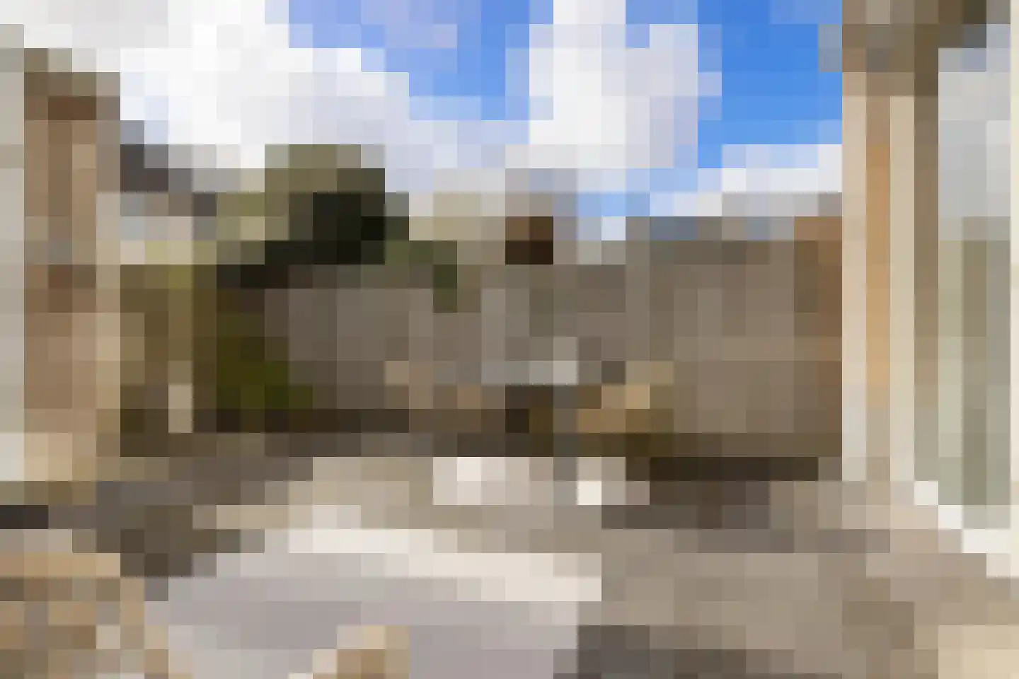Vliervlinder 6 Diemen thumbnail 16