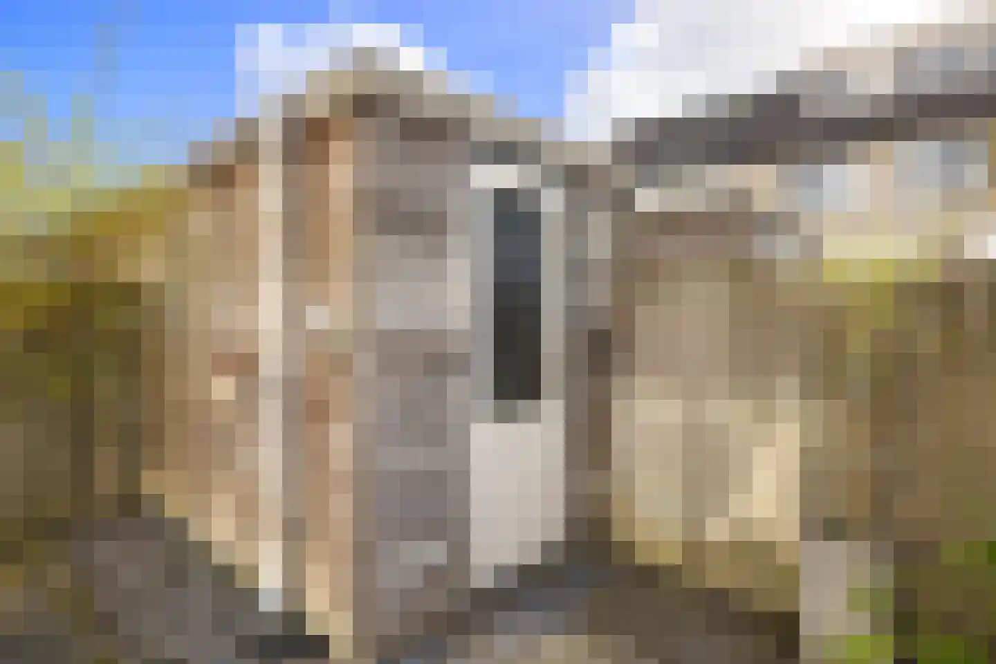 Vliervlinder 6 Diemen thumbnail 17
