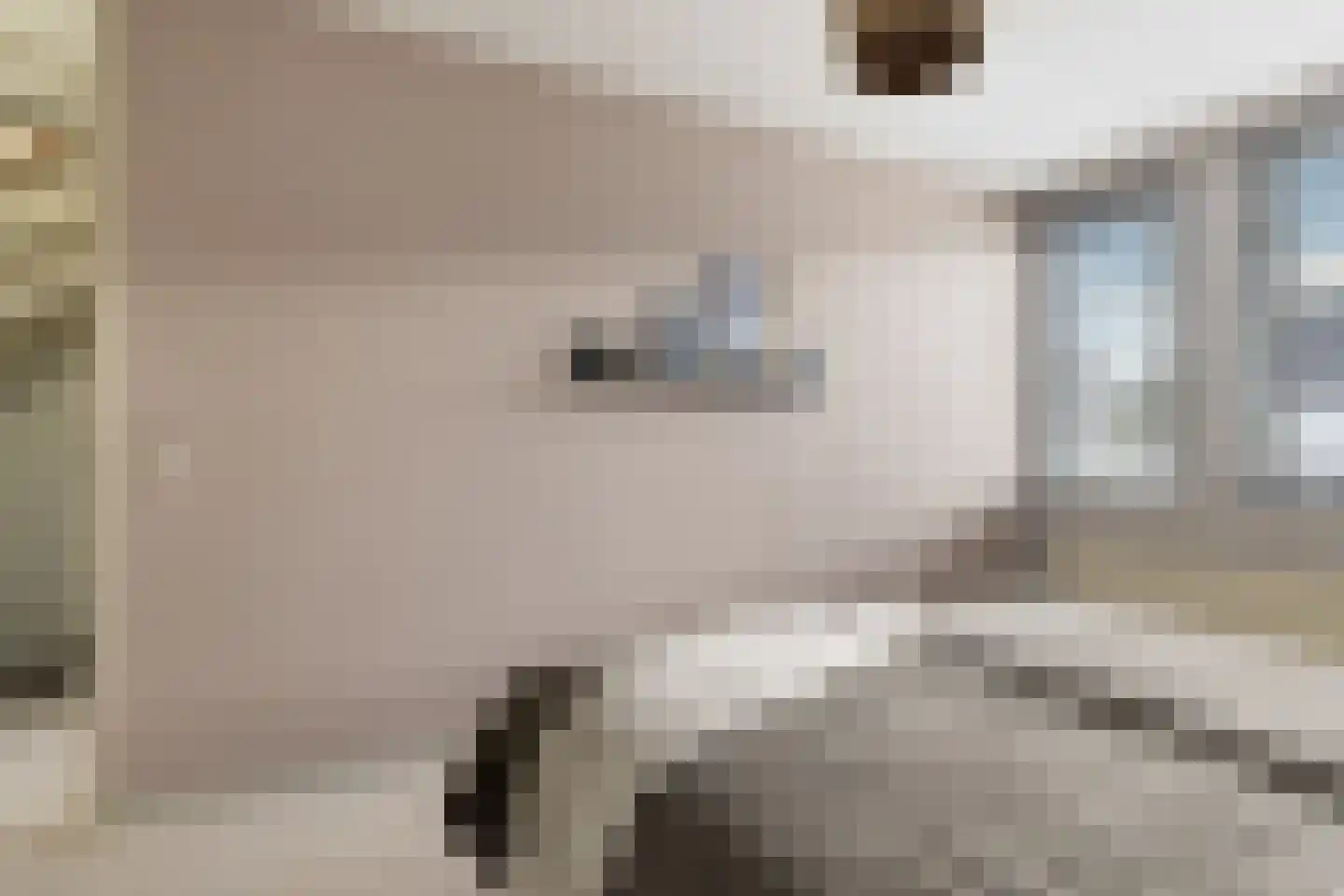 Vliervlinder 6 Diemen thumbnail 22