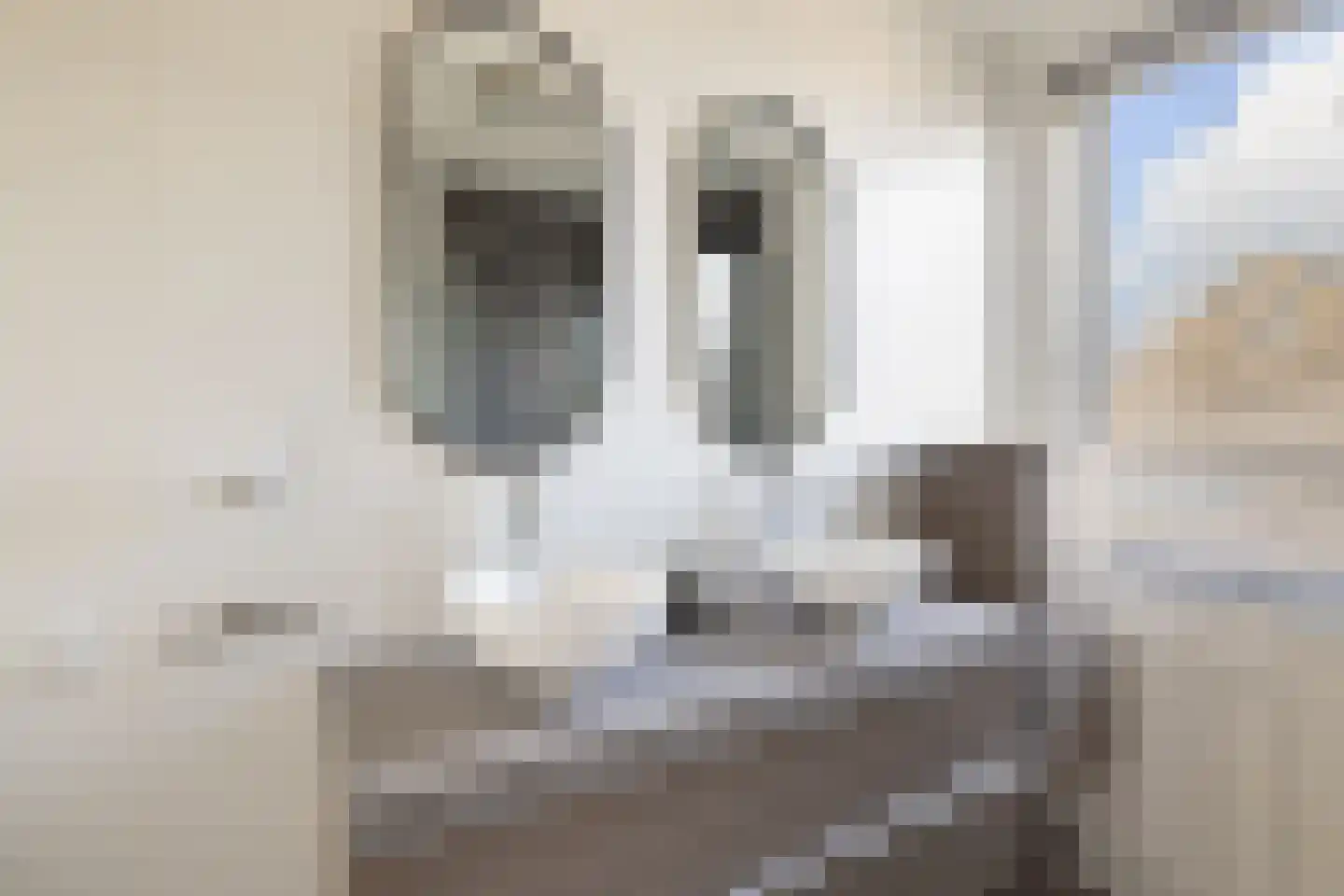Vliervlinder 6 Diemen thumbnail 24