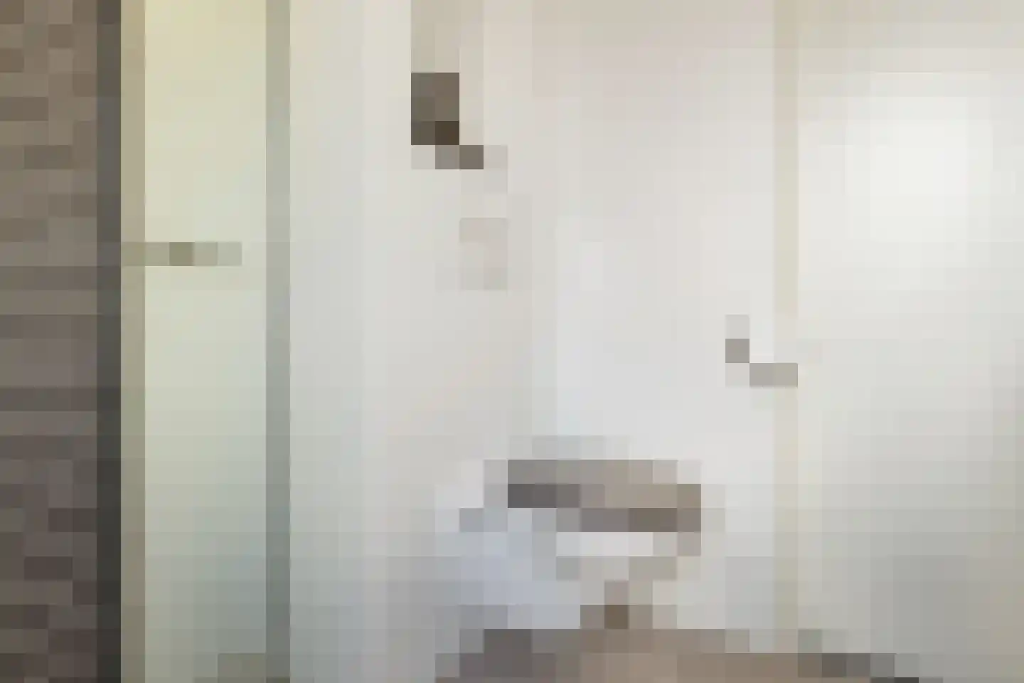 Vliervlinder 6 Diemen thumbnail 28