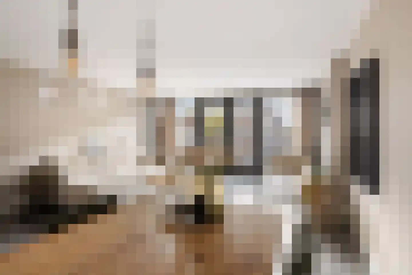 Vliervlinder 6 Diemen foto 3