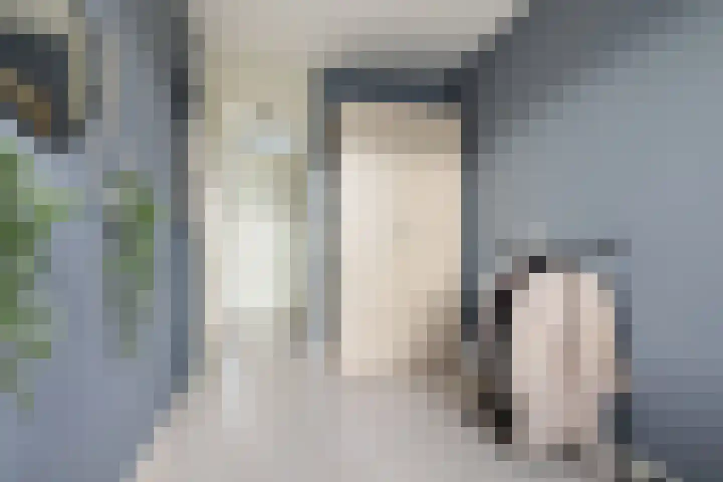Vliervlinder 6 Diemen thumbnail 30