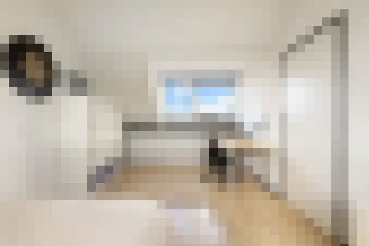 Vliervlinder 6 Diemen thumbnail 37