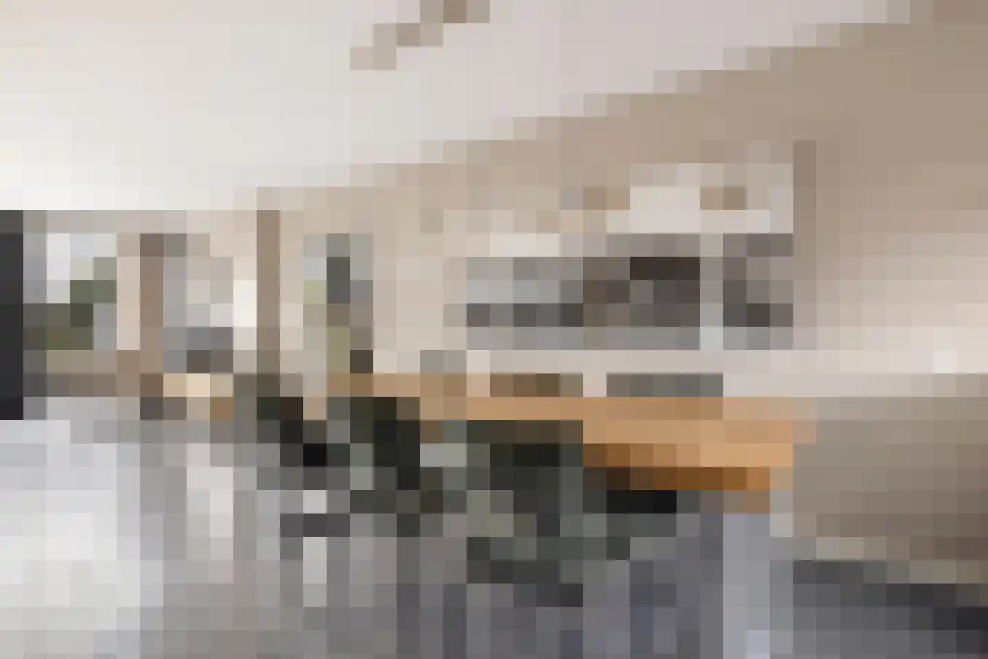 Vliervlinder 6 Diemen thumbnail 4