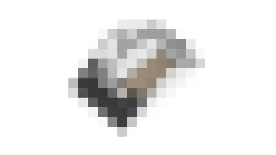 Vliervlinder 6 Diemen thumbnail 45