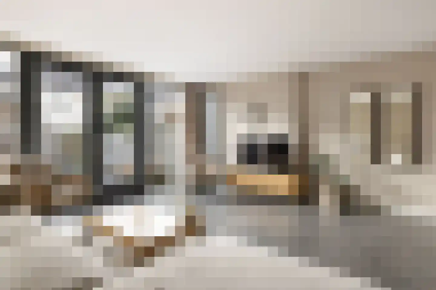 Vliervlinder 6 Diemen thumbnail 6