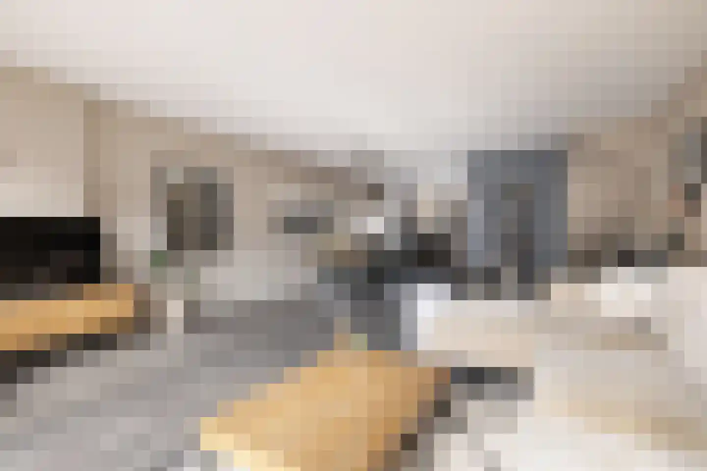 Vliervlinder 6 Diemen thumbnail 8