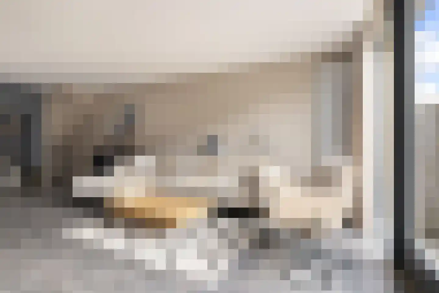Vliervlinder 6 Diemen thumbnail 9