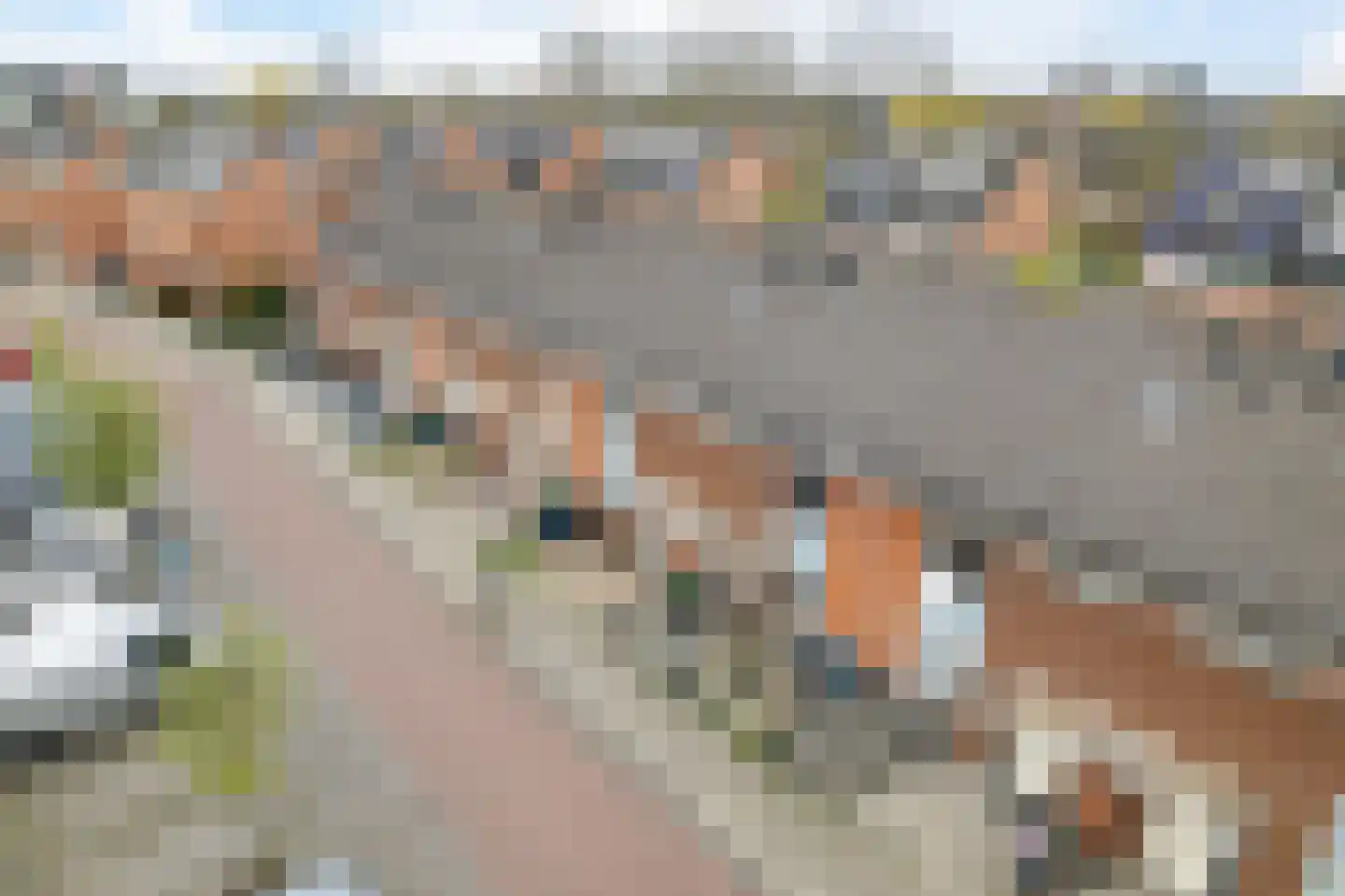 Vlierwede 38 Barendrecht thumbnail 35