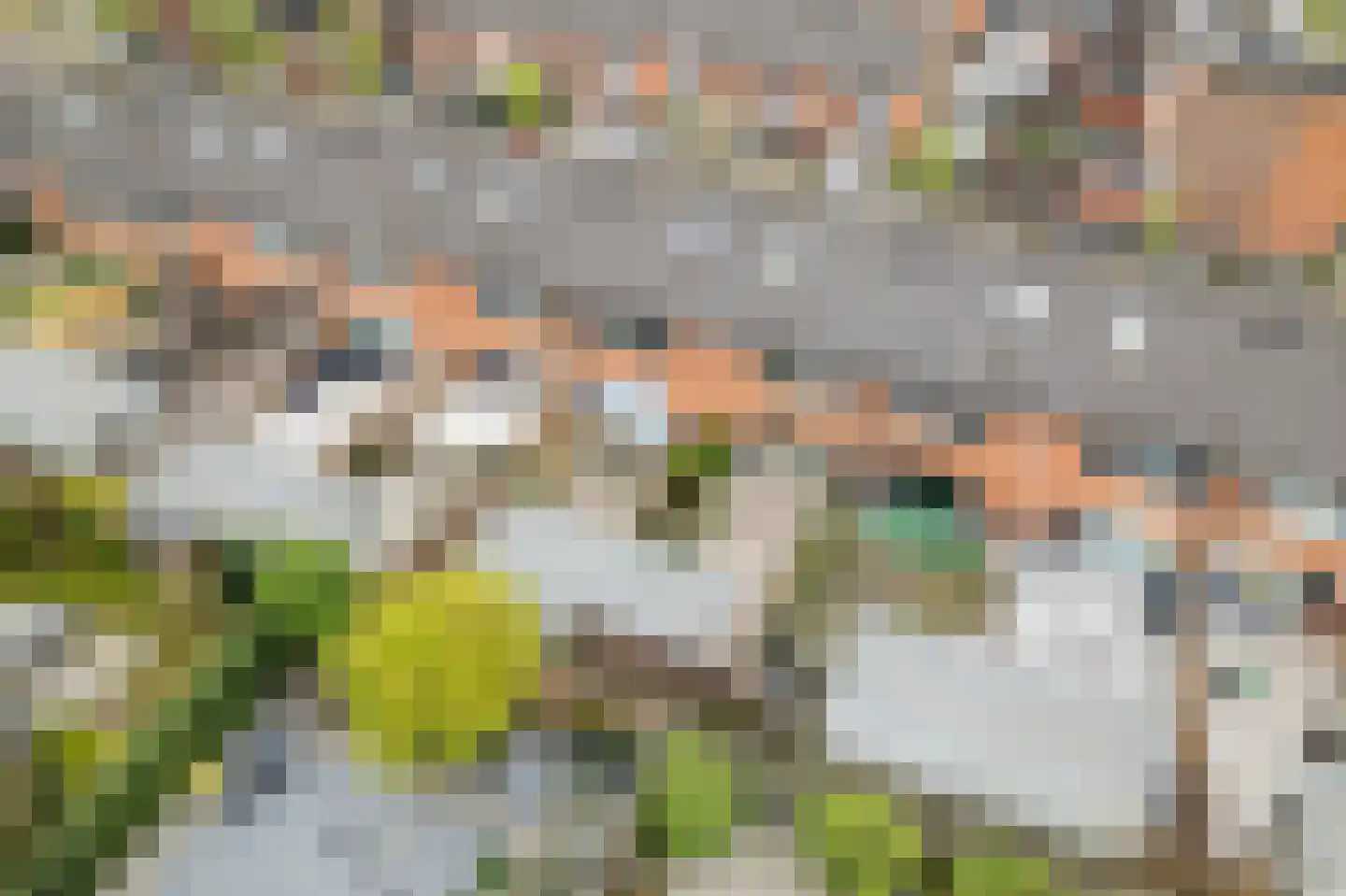 Vlierwede 38 Barendrecht thumbnail 37