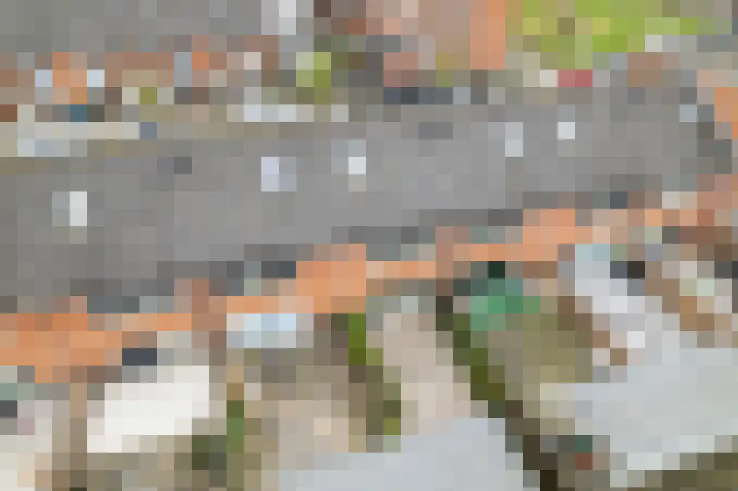 Vlierwede 38 Barendrecht thumbnail 38