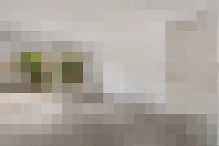 Vlierwede 5 Barendrecht thumbnail 12