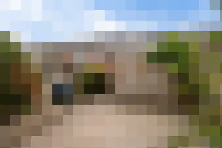 Vlierwede 5 Barendrecht thumbnail 20