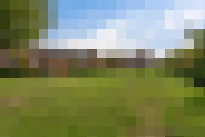 Vlierwede 5 Barendrecht thumbnail 36