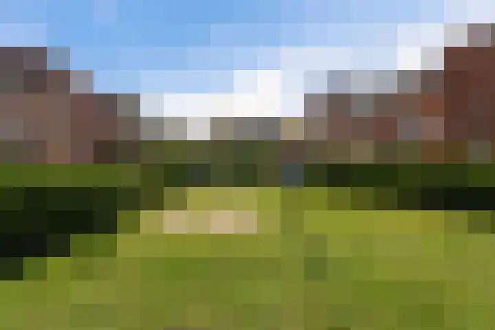 Vlierwede 5 Barendrecht thumbnail 37