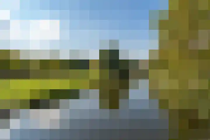 Vlierwede 5 Barendrecht thumbnail 38