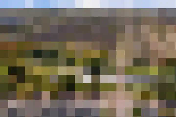 Vlierwede 5 Barendrecht thumbnail 39