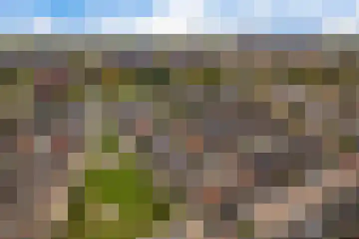 Vlierwede 5 Barendrecht thumbnail 6