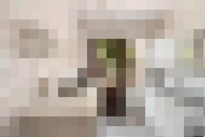Vlierweg 39 Nunspeet thumbnail 18