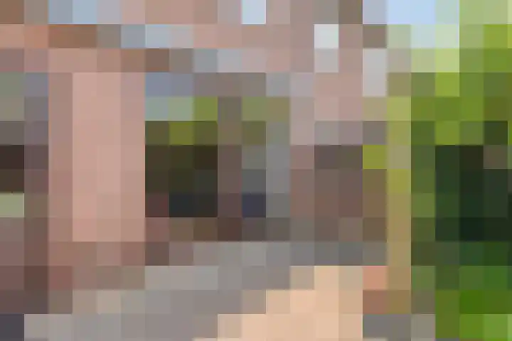Vlierweg 39 Nunspeet thumbnail 35