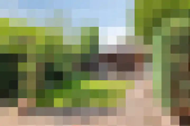 Vlierweg 39 Nunspeet thumbnail 37