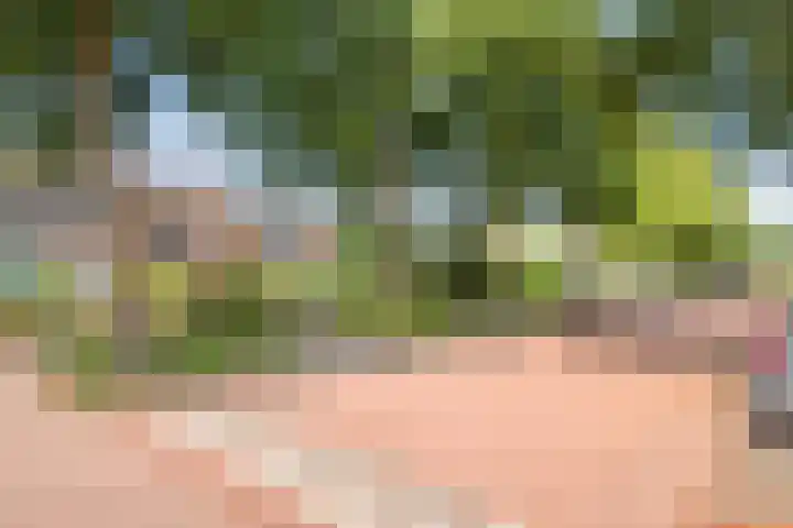 Vlierweg 39 Nunspeet thumbnail 43