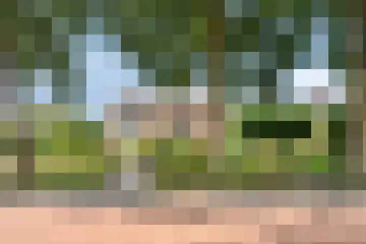 Vlierweg 39 Nunspeet thumbnail 44