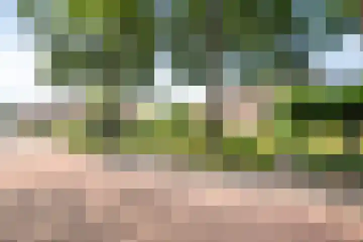 Vlierweg 39 Nunspeet thumbnail 45