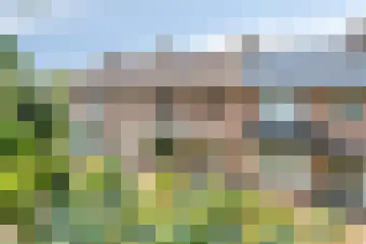 Vlierweg 39 Nunspeet thumbnail 5