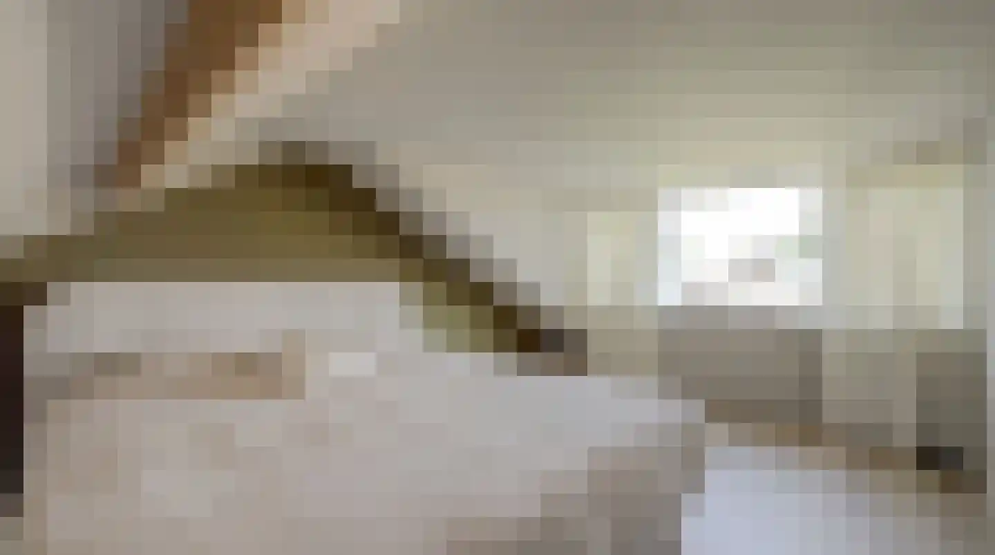 Vlierweg 52 Nunspeet thumbnail 33