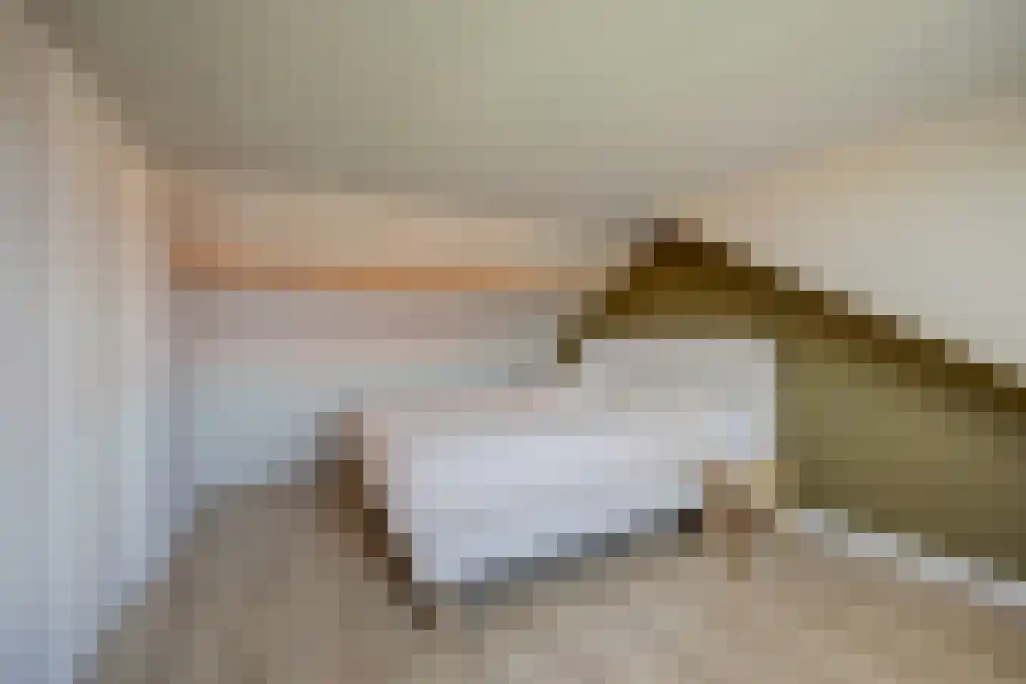 Vlierweg 52 Nunspeet thumbnail 34