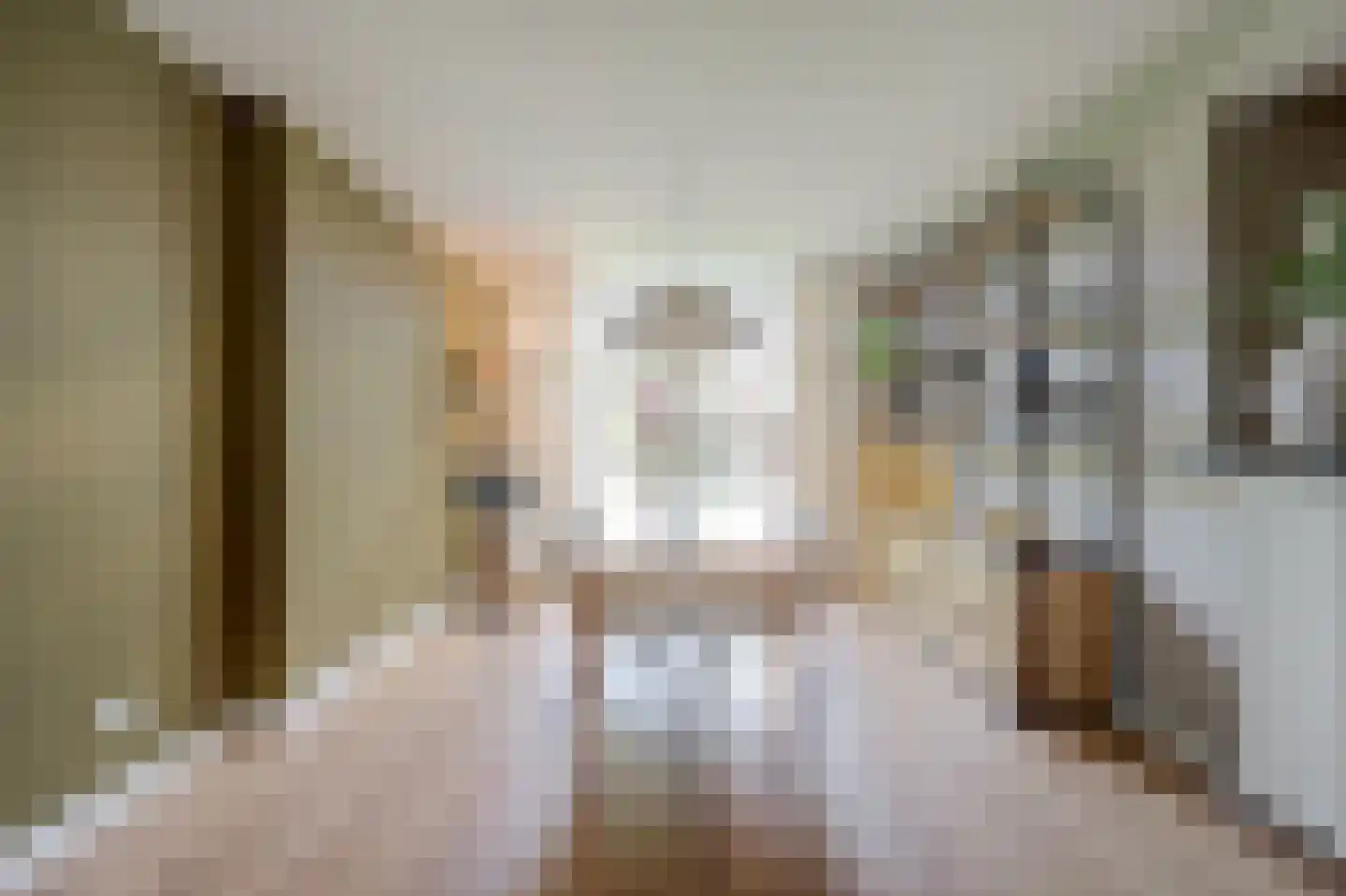 Vlierweg 52 Nunspeet thumbnail 4