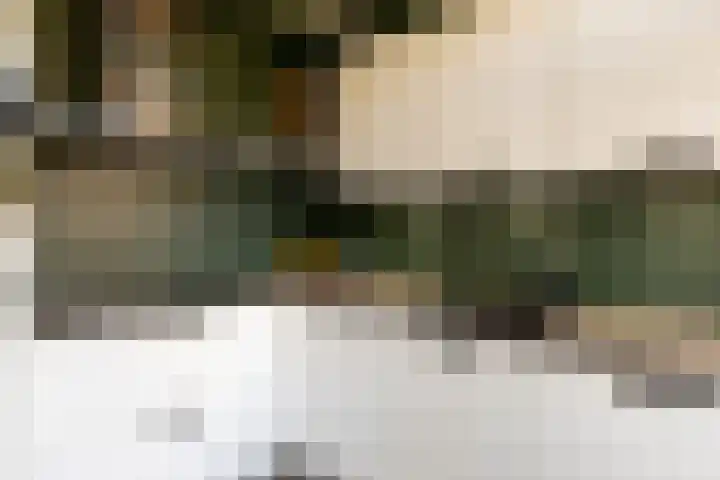 Vlierweg 68 Nunspeet thumbnail 13