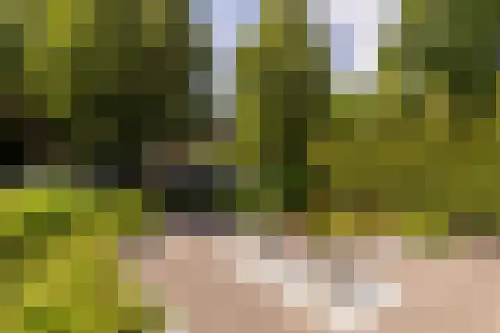 Vlierweg 68 Nunspeet thumbnail 35