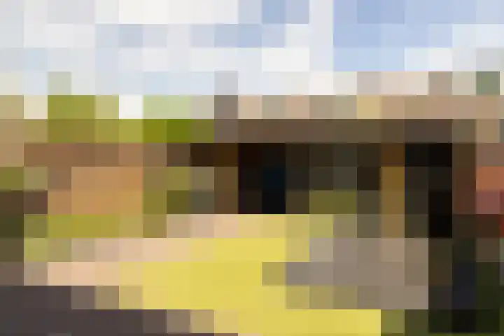 Vlierweg 68 Nunspeet thumbnail 37