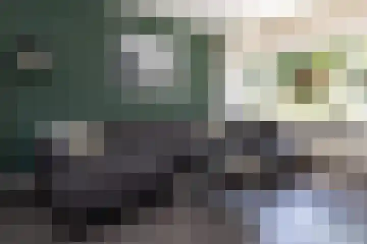 Vlierweg 68 Nunspeet thumbnail 6